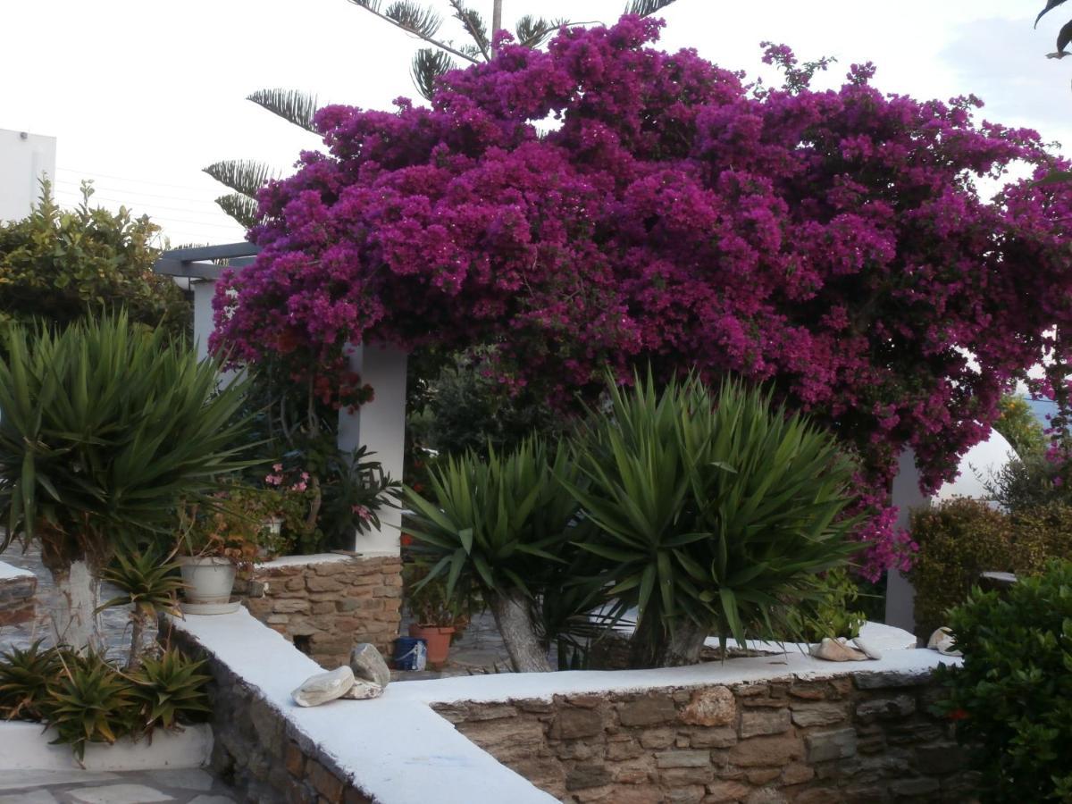קיוניה Galini Bungalows מראה חיצוני תמונה