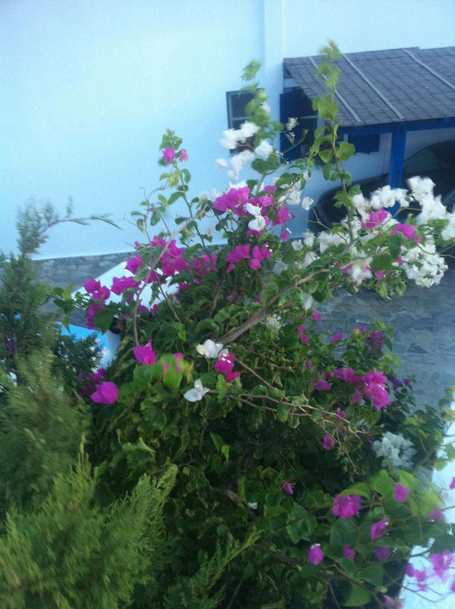 קיוניה Galini Bungalows מראה חיצוני תמונה